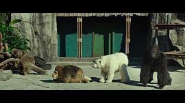 韩国搞笑电影动物园 图9