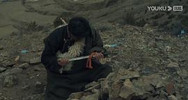 318川藏线电影 图2