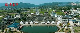 圍屋喜事 圖8