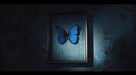 dark butterfly种子 图5