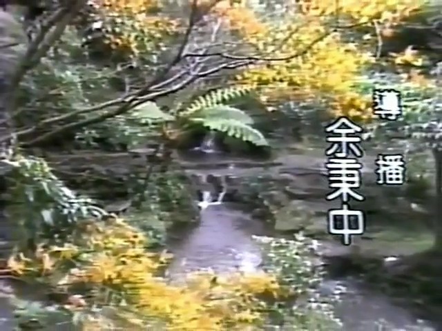 秋水伊人