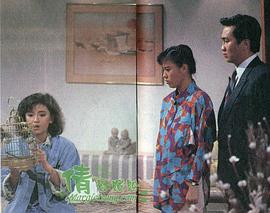 狄青电视剧1986版 图2