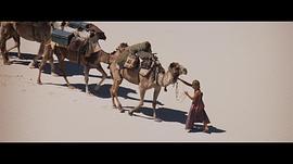穿越沙漠无人区的电影 图4