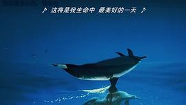 座头鲸电影介绍 图7