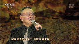 2013年中央電視臺(tái)元宵晚會(huì) 圖3
