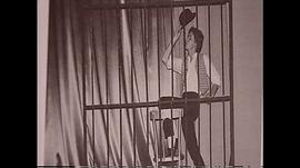 演藝人：馬修·伯恩 圖1
