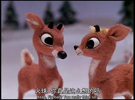 魯?shù)婪虻谋亲?圖5