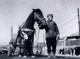 馬夫 圖1