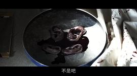 复仇三部曲好看吗 图8