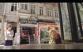 爱猫之城经典语录电影 图10