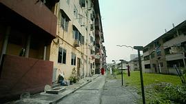 南方來信 圖2