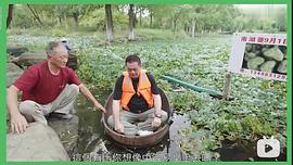 江湖見 圖2