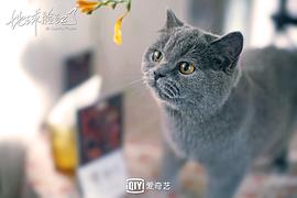 芒果電視劇2018年免費(fèi)觀看 圖9