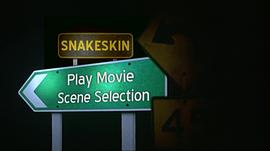 蛇皮 Snakeskin 圖10
