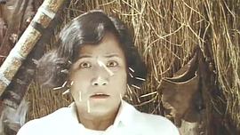 非洲超人 圖5