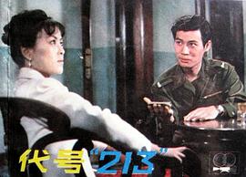 代號213 圖4
