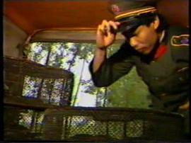 黑色死亡線 圖6