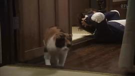 東京風(fēng)潮 圖6