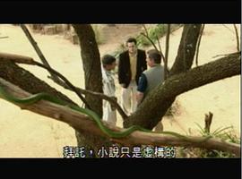 狂蟒之災(zāi)4之國(guó)語(yǔ)版在線觀看 圖9