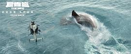吴京电影巨齿鲨免费观看 图8