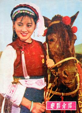 五朵金花 圖9