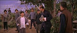 菁菁 圖3