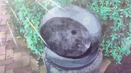 豎笛與雙肩書(shū)包1 圖9