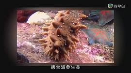 世界零距離3 圖10