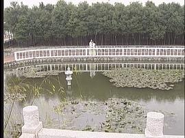龍鳳奇緣 圖7