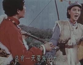 红鹰 图6