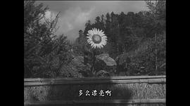 山之音 圖3