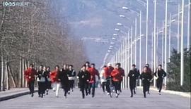 跆拳道 圖3
