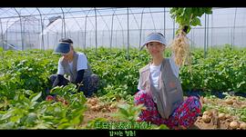 爱情发芽中 图9