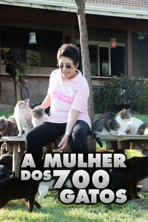 猫夫人与700只猫