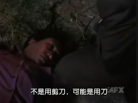 盾牌第五季