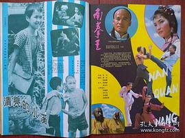 南拳王 圖5