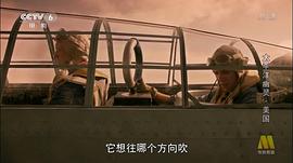 荒岛求生4电影免费观看 图2