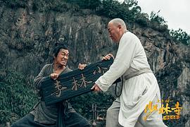 少林通臂拳 图1