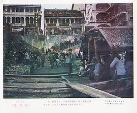 生死樹 圖8