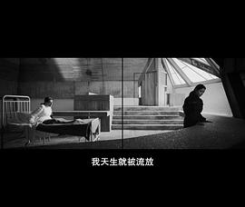 體外 圖1