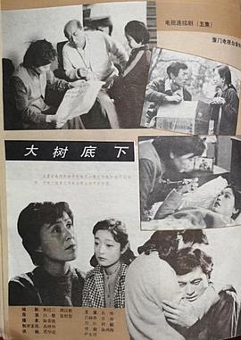 大樹底下 圖1
