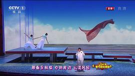 2011年中央電視臺春節(jié)聯(lián)歡晚會 圖3