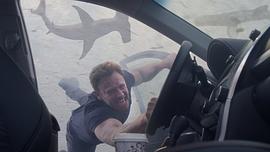 鲨卷风电影免费观看 图5