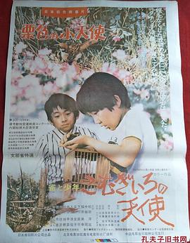 栗色的小天使 圖8