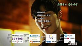瘋狗 圖9