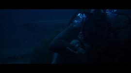 鯊海 圖6