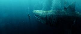 巨齿鲨 图7