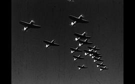 二战电影飞行堡垒免费观看 图5