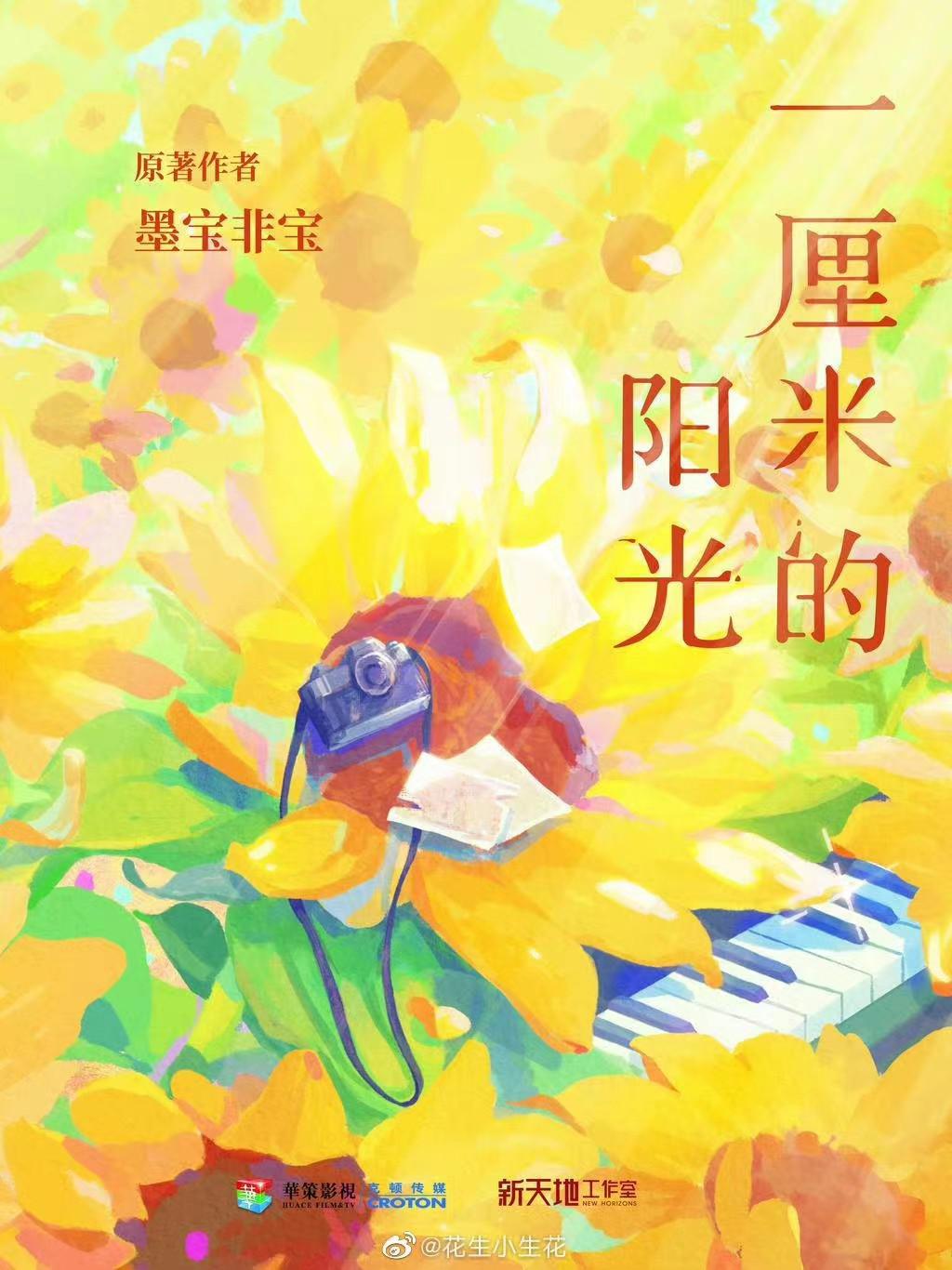 一厘米的陽(yáng)光