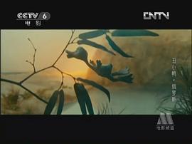 丑小鴨 圖4